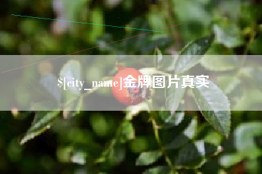 廊坊金牌图片真实