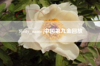 廊坊中国第九金回放