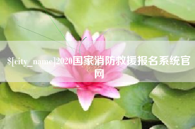 廊坊2020国家消防救援报名系统官网