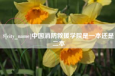 廊坊中国消防救援学院是一本还是二本
