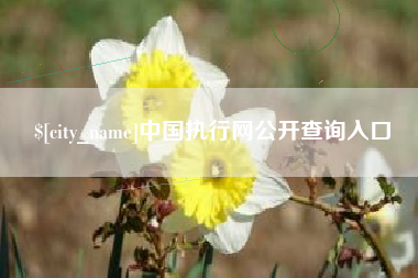 廊坊中国执行网公开查询入口