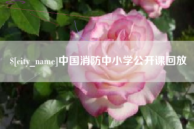 廊坊中国消防中小学公开课回放