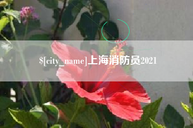 廊坊上海消防员2021