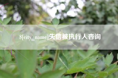 廊坊失信被执行人杳询