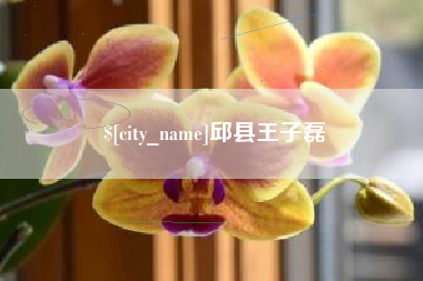 廊坊邱县王子磊