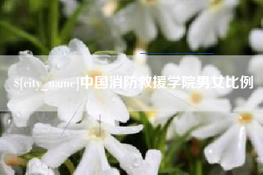 廊坊中国消防救援学院男女比例