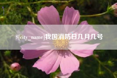 廊坊我国消防日几月几号