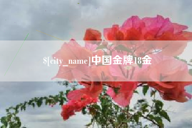 廊坊中国金牌18金
