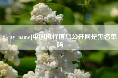 廊坊中国执行信息公开网是黑名单吗
