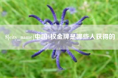 廊坊中国6枚金牌是哪些人获得的