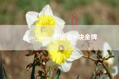 廊坊奥运会39块金牌