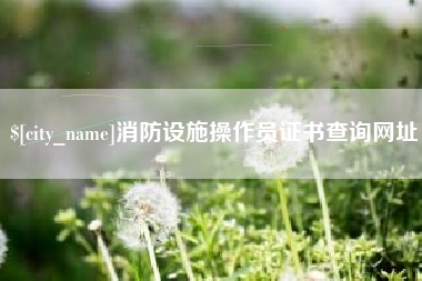 廊坊消防设施操作员证书查询网址