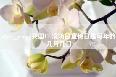 廊坊我国119消防日宣传日是每年的几月几日
