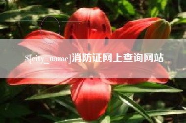 廊坊消防证网上查询网站
