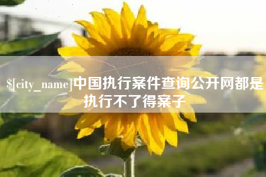 廊坊中国执行案件查询公开网都是执行不了得案子