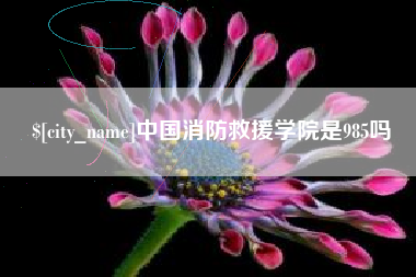 廊坊中国消防救援学院是985吗
