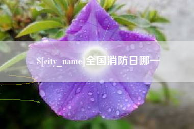 廊坊全国消防日哪一
