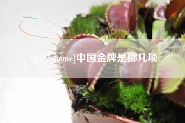 廊坊中国金牌是哪几项