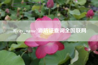 廊坊消防证查询全国联网