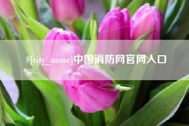 廊坊中国消防网官网入口