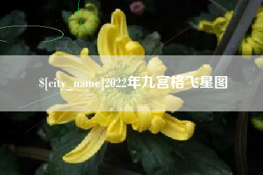 廊坊2022年九宫格飞星图