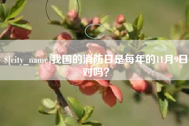 廊坊我国的消防日是每年的11月9日对吗？