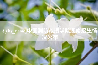 廊坊中国消防救援学院湖南招生情况公布