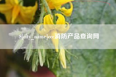 廊坊ccc消防产品查询网
