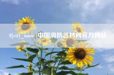 廊坊中国消防器材网官方网站