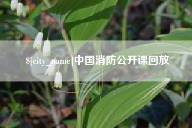 廊坊中国消防公开课回放
