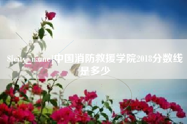廊坊中国消防救援学院2018分数线是多少