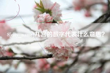 廊坊九宫的数字代表什么意思？
