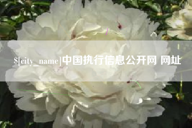 廊坊中国执行信息公开网 网址