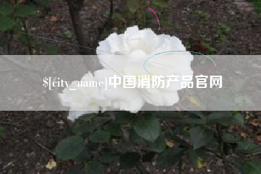 廊坊中国消防产品官网