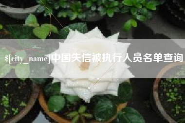 廊坊中国失信被执行人员名单查询