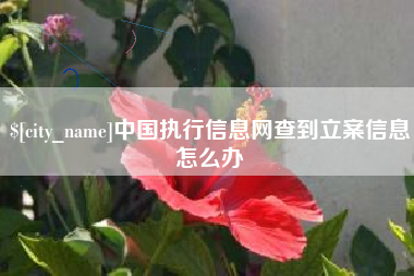 廊坊中国执行信息网查到立案信息怎么办