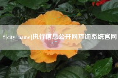 廊坊执行信息公开网查询系统官网