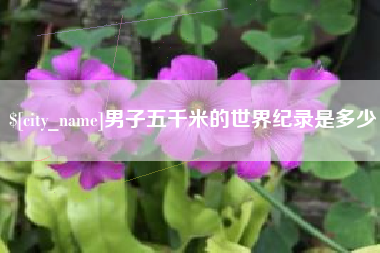 廊坊男子五千米的世界纪录是多少