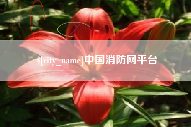 廊坊中国消防网平台