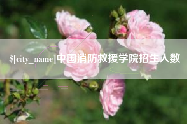 廊坊中国消防救援学院招生人数