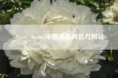 廊坊中国消防网官方网站