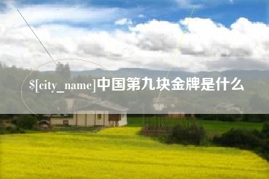 廊坊中国第九块金牌是什么