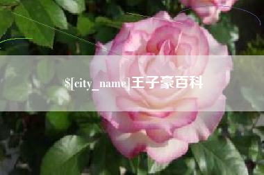廊坊王子豪百科