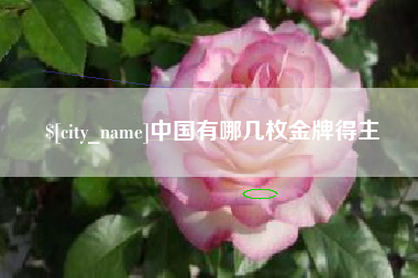 廊坊中国有哪几枚金牌得主