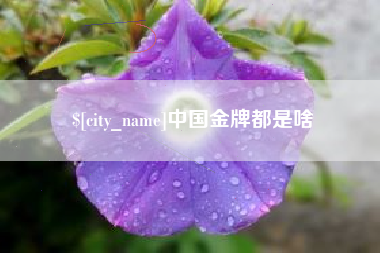 廊坊中国金牌都是啥