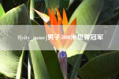廊坊男子5000米世界冠军