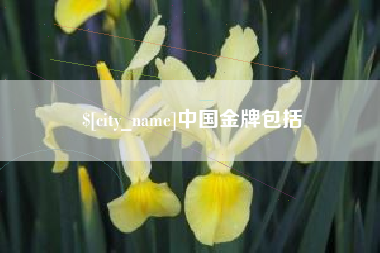 廊坊中国金牌包括