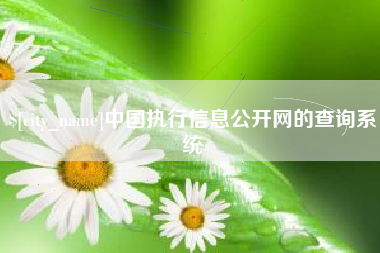 廊坊中国执行信息公开网的查询系统
