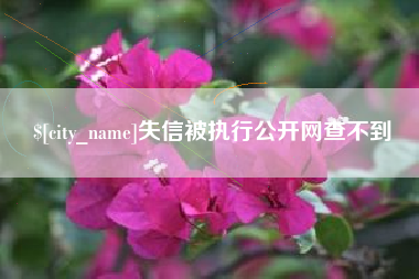 廊坊失信被执行公开网查不到