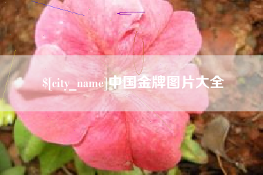 廊坊中国金牌图片大全